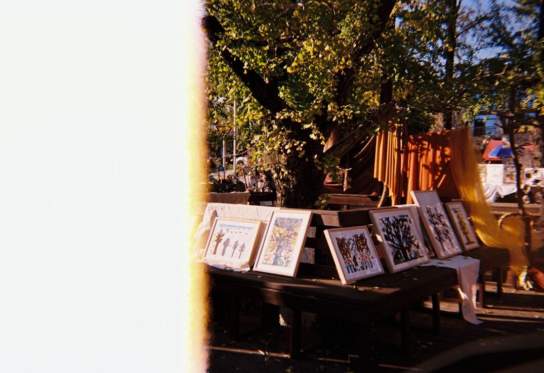 Printed photographs and notes spread across a wooden table