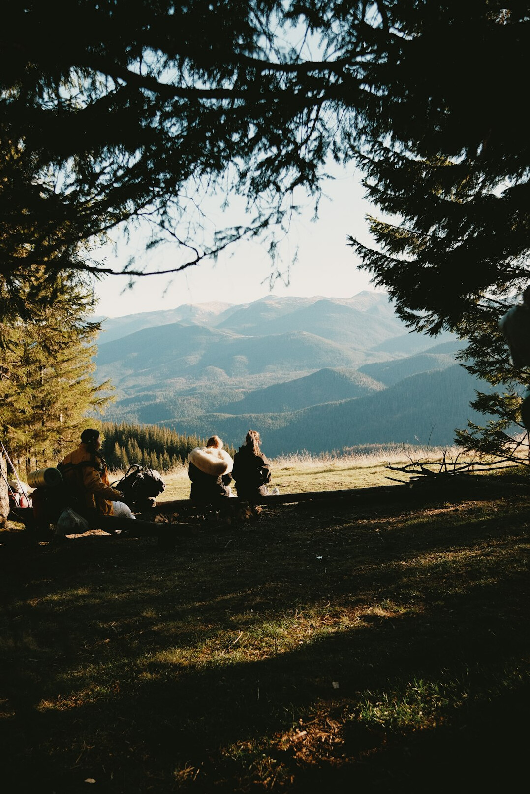 Group of people learning photography outdoors with cameras